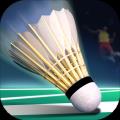 Real Badminton World Racing 20