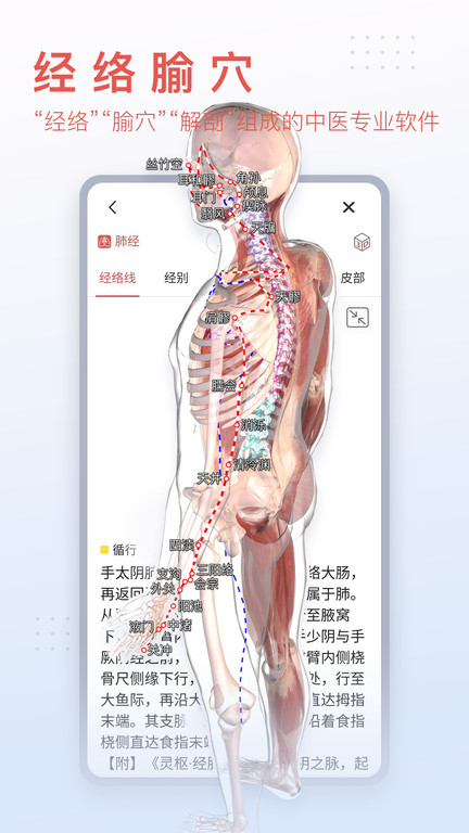 3Dbody解剖安卓版下载